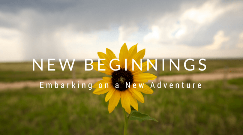 To the new year and new beginnings — Steemit